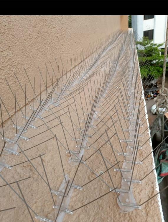 Bird net installation gallery